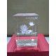 2D 3D Company Trophy Branding